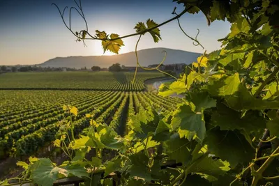 Grazioso Bilocale in Franciacorta